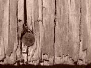 nailboard.jpg