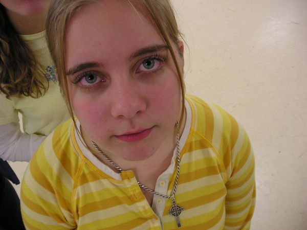 celiastripes.jpg