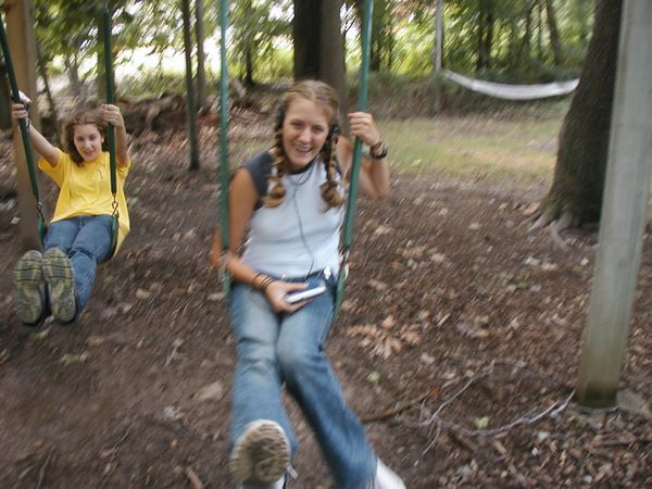 theyswing.jpg